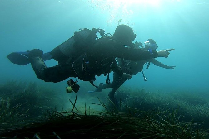 First scuba diving experience with instructor - Malta - Learning the equipment before entering the sea