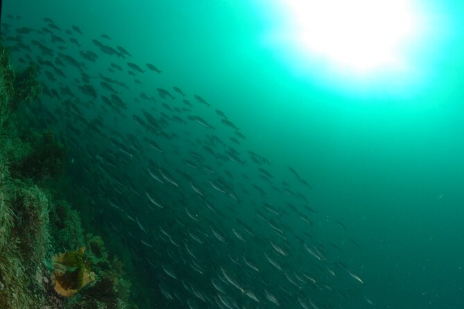 First Time Diver Scuba Experience - How the instructor support changes the experience