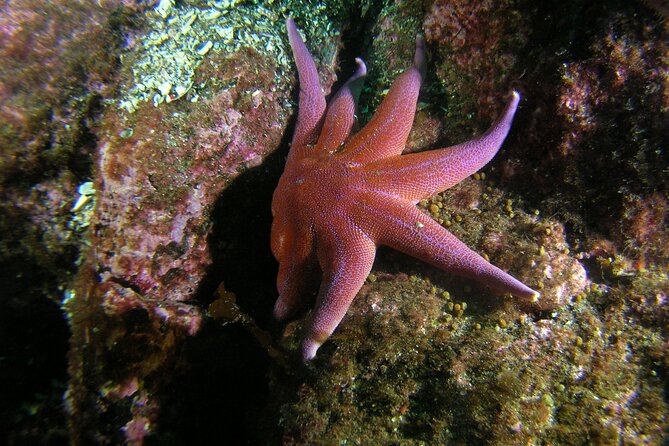 First Time Diver Scuba Experience - Who will enjoy this most