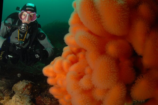 First Time Diver Scuba Experience - Timing your booking and cancellation