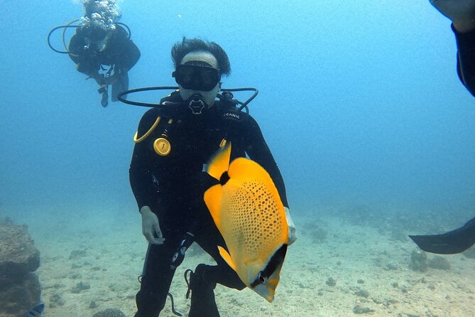 First Time Introductory Scuba Dive - What the Four-Hour Schedule Really Means