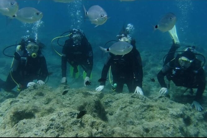 First Time Scuba Dive Adventure, Makronissos, Ayia Napa - The briefing that makes the sea feel manageable