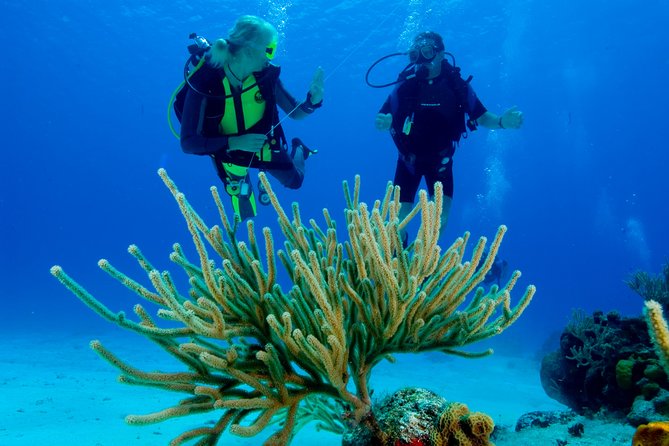 First Time Scuba Diving Experience in Punta Cana - What is included for the $199 price