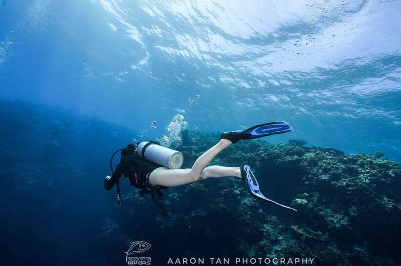 Fisheye Divers: Discover Scuba Diving - Why This Boracay Scuba Session Works for Beginners