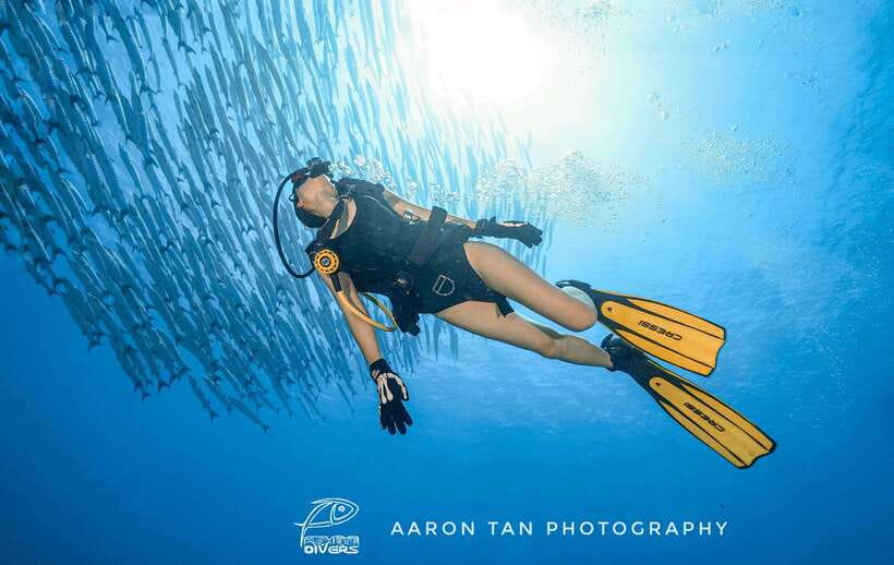 Fisheye Divers: Discover Scuba Diving - From Station Pickup to the Boat
