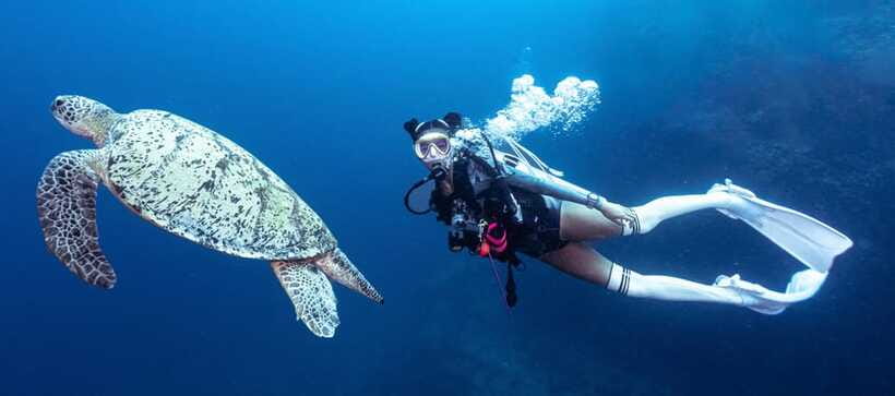 Fisheye Divers: Discover Scuba Diving - Who Should Book This Experience?