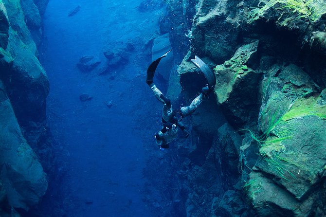 Freedive Silfra Half Day Tour - Key points to know before booking