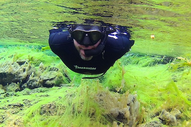 Freedive Silfra Half Day Tour - Hot cocoa and the return to shore