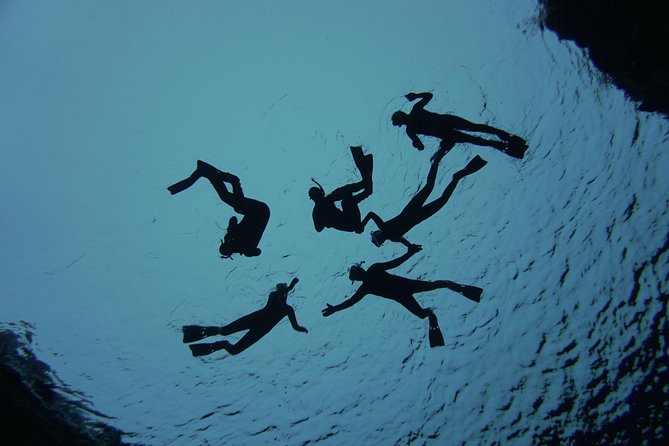 Freedive Silfra Half Day Tour - What the $233.50 price includes