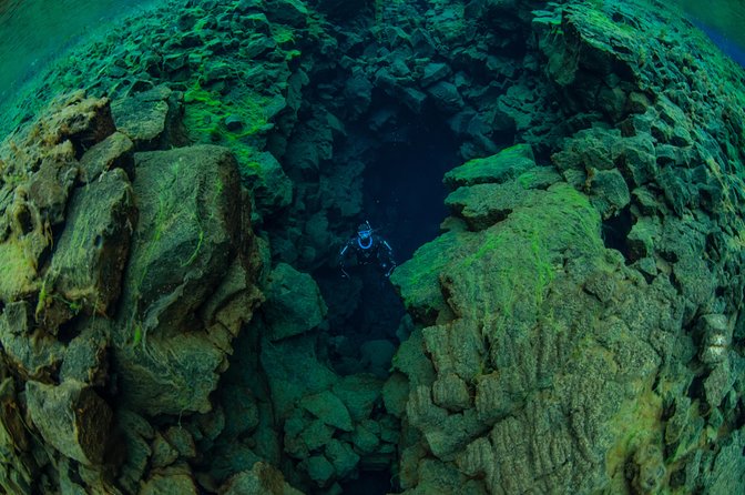 Freedive Silfra Half Day Tour - Who should book this activity?