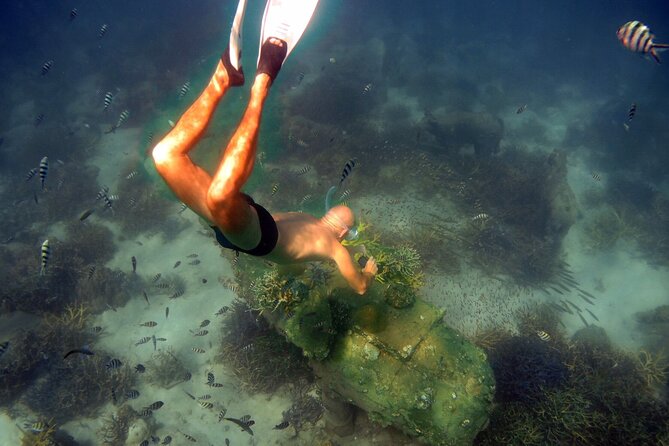 Freedive trip Koh Kood or Koh Rang National Park ( start at Ko Kut) - Starting at Bang Bao Beach on Koh Kood