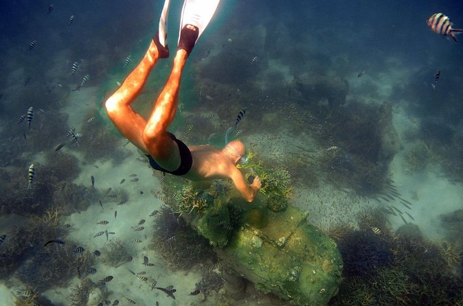 Freedive trip Koh Kood or Koh Rang National Park ( start at Ko Kut) - Freediving, scuba, and PADI courses on one boat