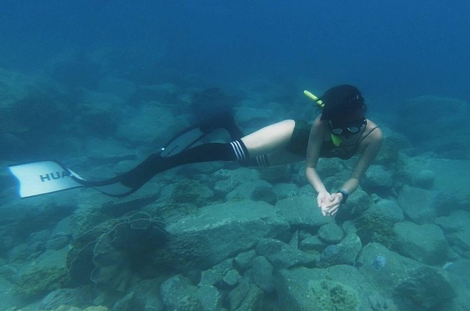 Freedive trip Koh Kood or Koh Rang National Park ( start at Ko Kut) - Is $38.94 good value?