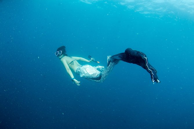 Freediver advanced (start at Koh Chang) - Instruction From Calm, Patient Coaches
