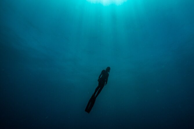 Freediving at Museum Atlantico - Why Museo Atlántico feels different from a normal museum