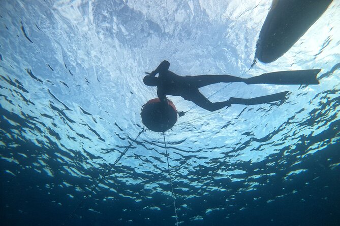 Freediving at Museum Atlantico - Starting at Dive College Lanzarote