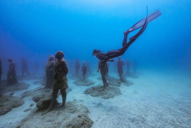 Freediving at Museum Atlantico - Group size, equipment, and personal attention