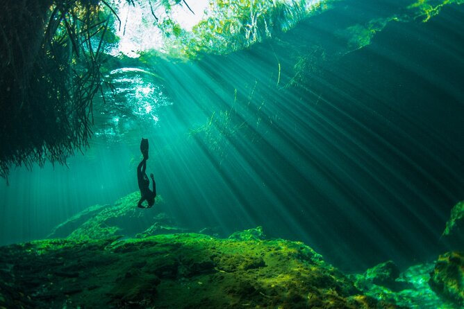 Freediving Intro for Beginners in a Cenote in Tulum Mexico - Who will get the most from this experience
