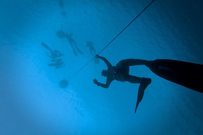 Freediving Training - Key points for making your choice