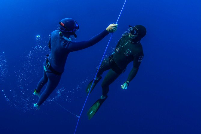 Freediving Training - Cables, buoys, and weights for certified depth work