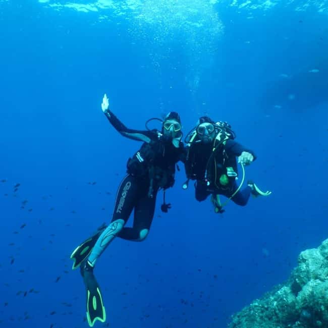 Fréjus: Diving Experience in Port-Fréjus with an Instructor - Setting out from Port-Fréjus