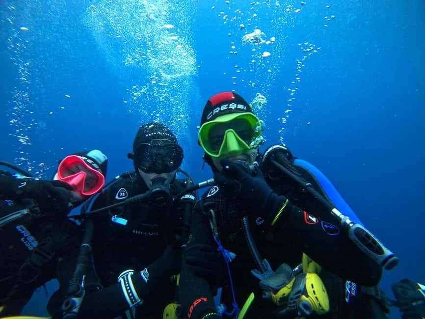 Fréjus: Diving Experience in Port-Fréjus with an Instructor - What you see beneath the surface