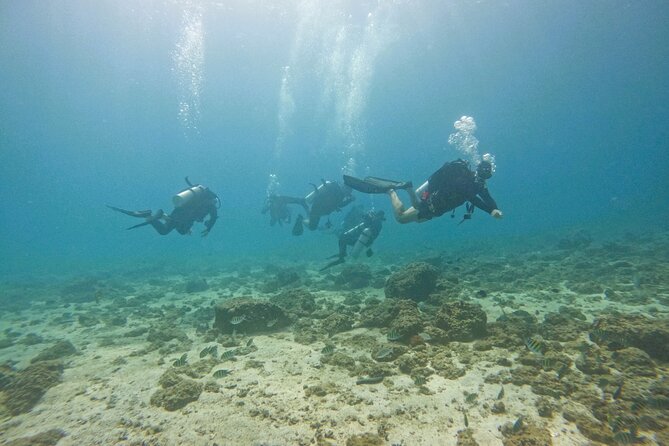 From Abu Dhabi: 2 Dives for Certified Divers in Fujairah - Reaching Fujairah’s Underwater Sites