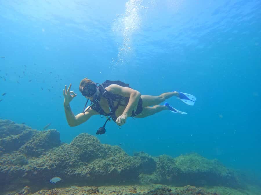 From Abu Dhabi: Scuba Dive and Snorkeling with BBQ, Transfer - Key points to know before booking