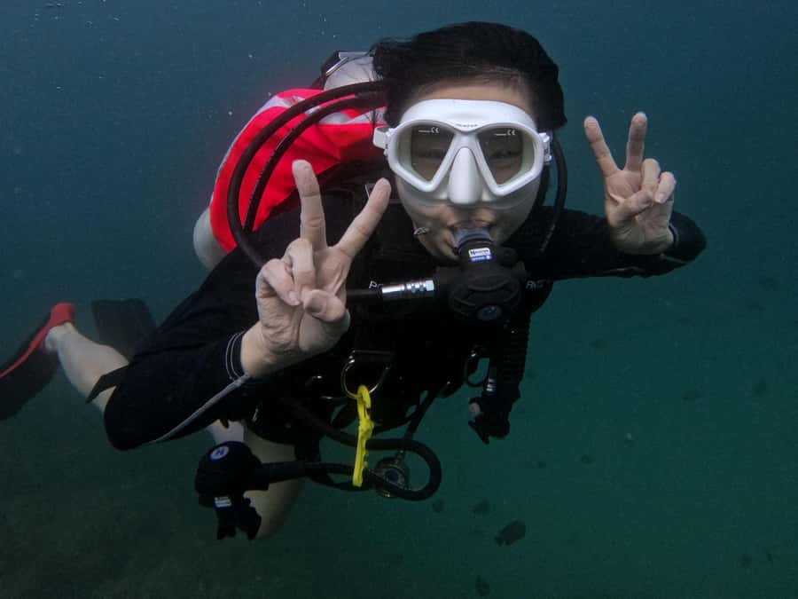 From Abu Dhabi: Scuba Dive and Snorkeling with BBQ, Transfer - What you may see below the surface