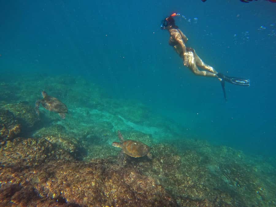From Abu Dhabi: Scuba Dive and Snorkeling with BBQ, Transfer - Two short sightseeing stops on the way back
