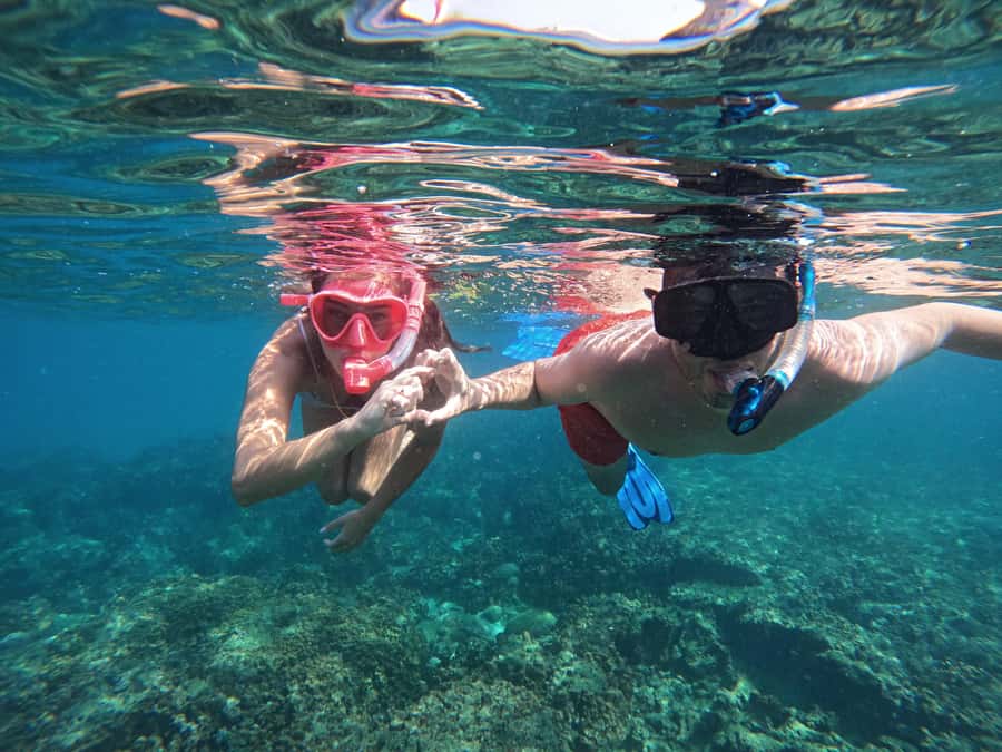 From Abu Dhabi: Scuba Dive and Snorkeling with BBQ, Transfer - What the $272 price includes