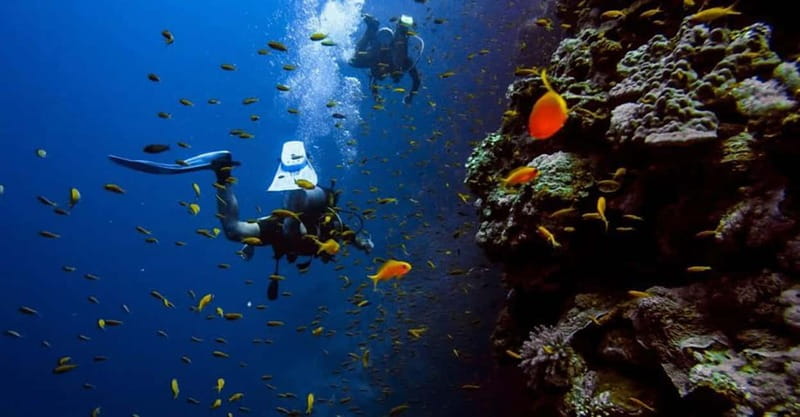 From Alanya: Scuba Diving Tour with Hotel Transfers - The second session changes the scenery