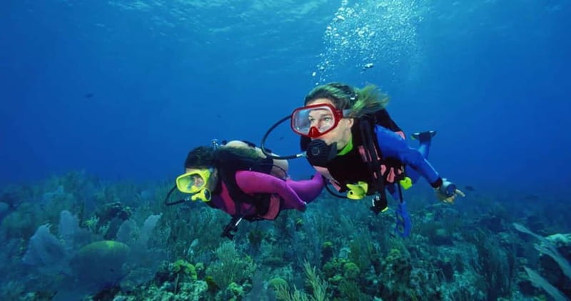 From Alanya: Scuba Diving Tour with Hotel Transfers - The first briefing makes this workable for beginners