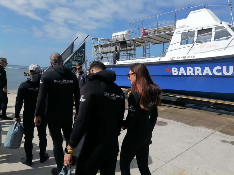 From Cape Town: Gans Bay Shark Cage Diving - The 15 to 20-Minute Boat Ride Along the Coast