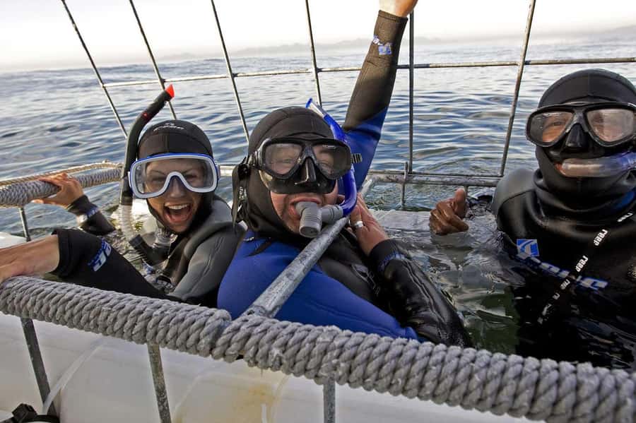 From Cape Town: Gans Bay Shark Cage Diving - Welcome, Refreshments, and the Safety Briefing