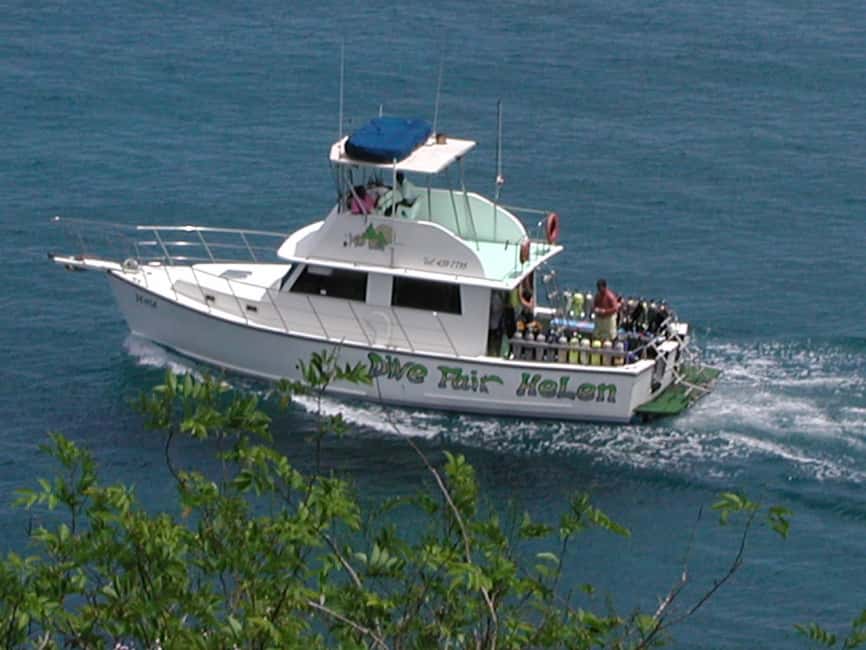From Castries: St. Lucia Scuba Diving Excursion - Five Things to Know Before You Go