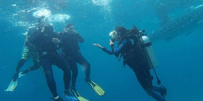 From Cebu City: Scuba Diving with Whale Sharks Trip in Oslob - Thirty to forty minutes with whale sharks