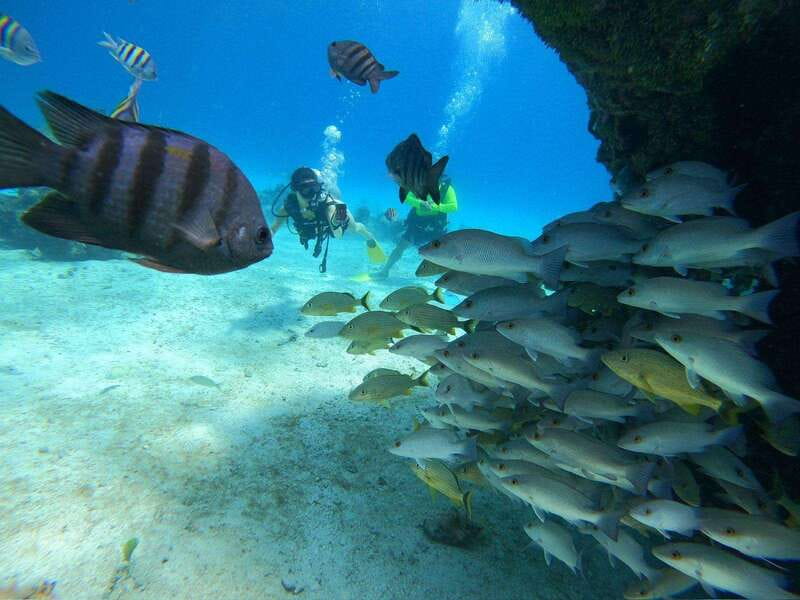 From Cozumel: Chankanaab Cozumel Scuba Diving - The first lesson: getting comfortable with scuba equipment