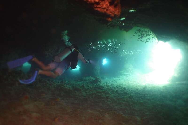 From Cozumel: Chankanaab Cozumel Scuba Diving - About 40 minutes among fish and underwater sculptures