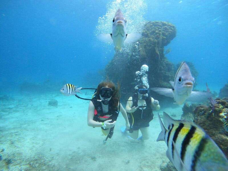 From Cozumel: Chankanaab Cozumel Scuba Diving - What the included beach time adds