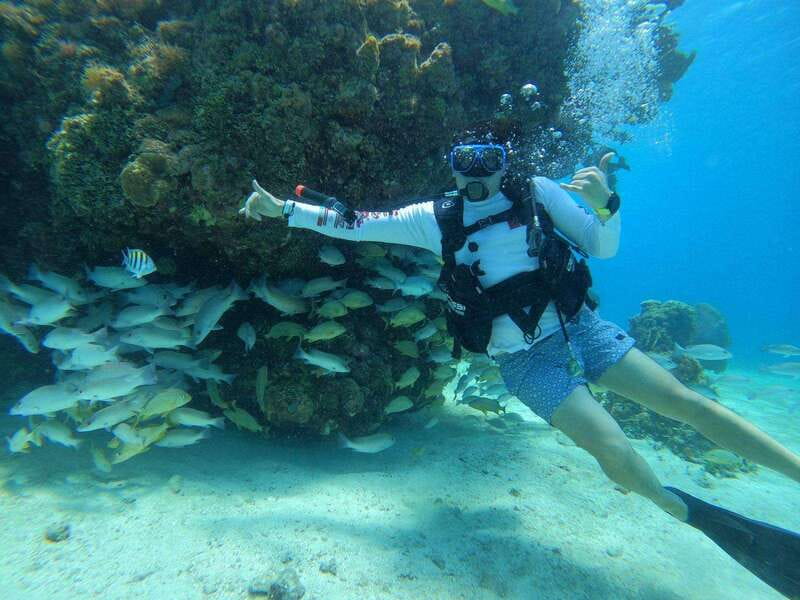 From Cozumel: Chankanaab Cozumel Scuba Diving - How the price compares with the experience