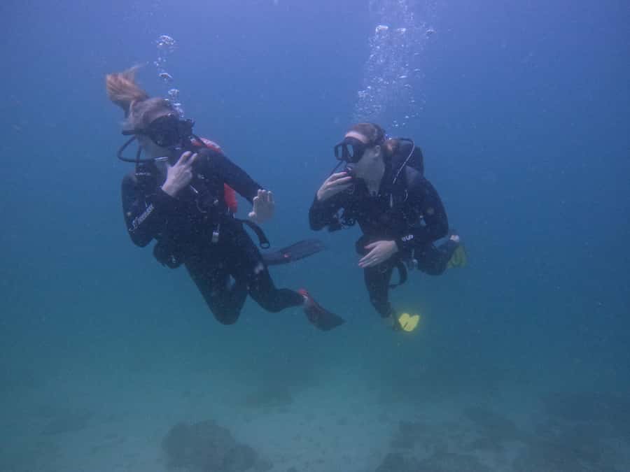 From Dubai: 2 Dives for Certified Divers with BBQ & Transfer - Key details at a glance