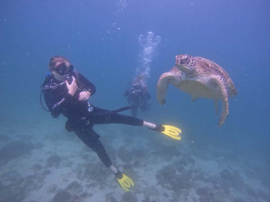 From Dubai: 2 Dives for Certified Divers with BBQ & Transfer - Getting from Dubai to Fujairah before breakfast