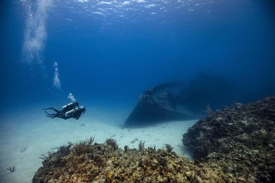 From Dubai: 2 Dives for Certified Divers with BBQ & Transfer - The first one-hour session: Fujairah’s reef life