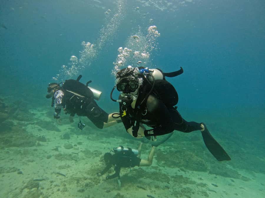From Dubai: 2 Dives for Certified Divers with BBQ & Transfer - Al Bidya Mosque and the short return stops