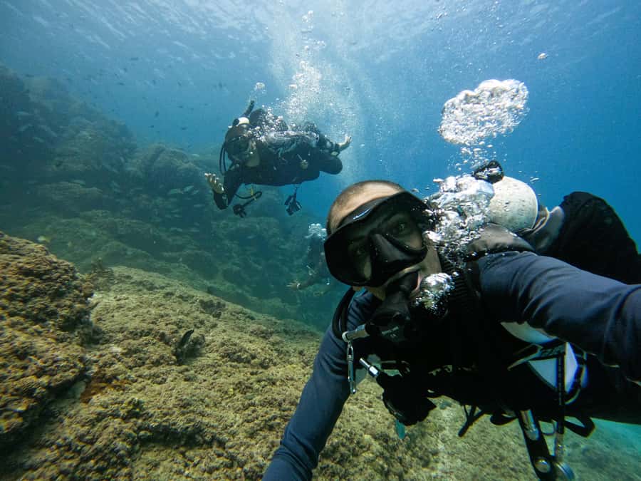 From Dubai: 2 Dives for Certified Divers with BBQ & Transfer - Who should choose this Fujairah trip?