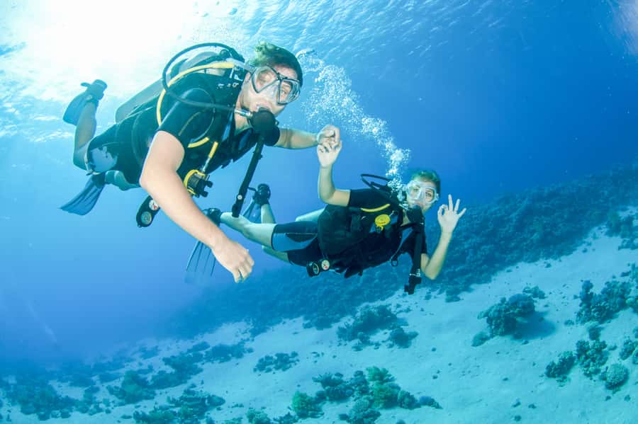 From Dubai: Discovery Scuba Diving & Snorkeling In Fujairah - Your First Underwater Session Reaches 10 Meters