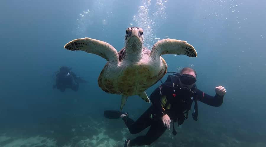 From Dubai: Discovery Scuba Diving & Snorkeling In Fujairah - Equipment, Food, and What the $158 Covers