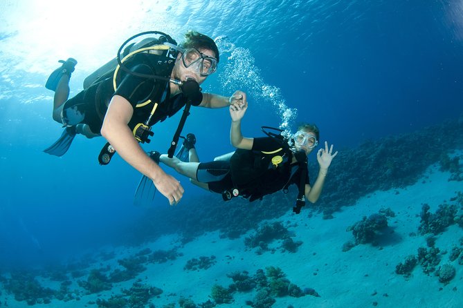 From Dubai: Discovery Scuba Diving & Snorkeling trip in Fujairah - Key points to know before you book