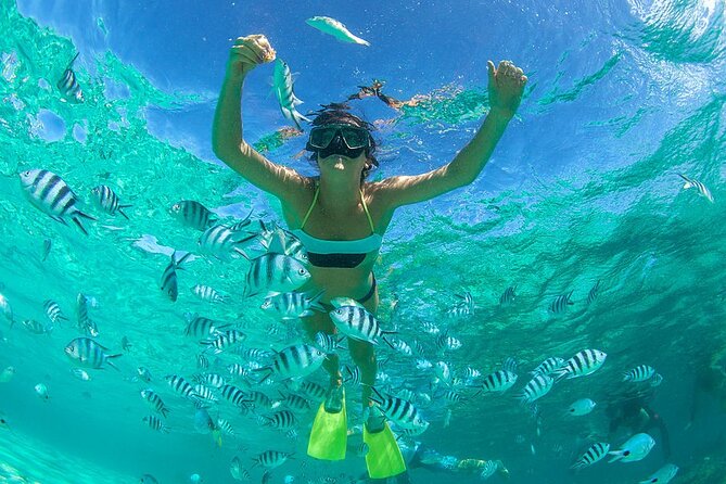 From Dubai: Discovery Scuba Diving & Snorkeling trip in Fujairah - From Dubai to the Dibba Al-Fujairah coast